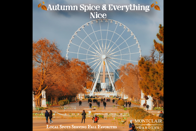 Image for 🍂 Autumn Spice & Everything Nice: Local Spots Serving Fall Favorites 🍂