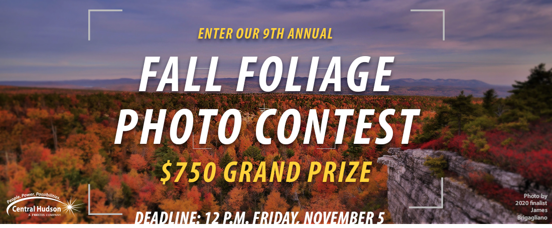 Fail Foliage Photo Contest Cover Photo