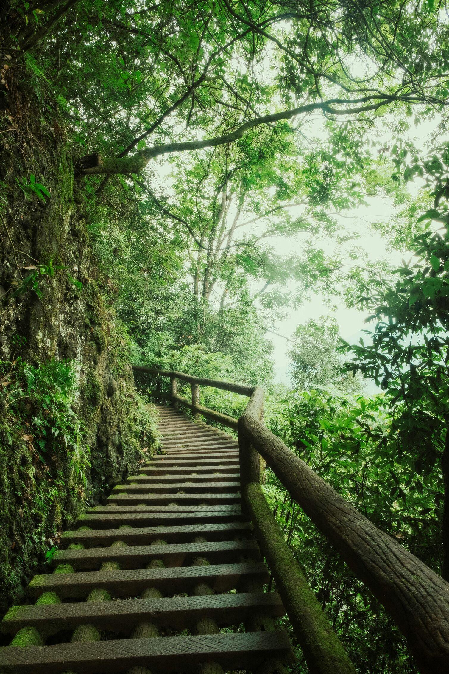 Image for Top Local Trails & Nature Spots Near Fishkill