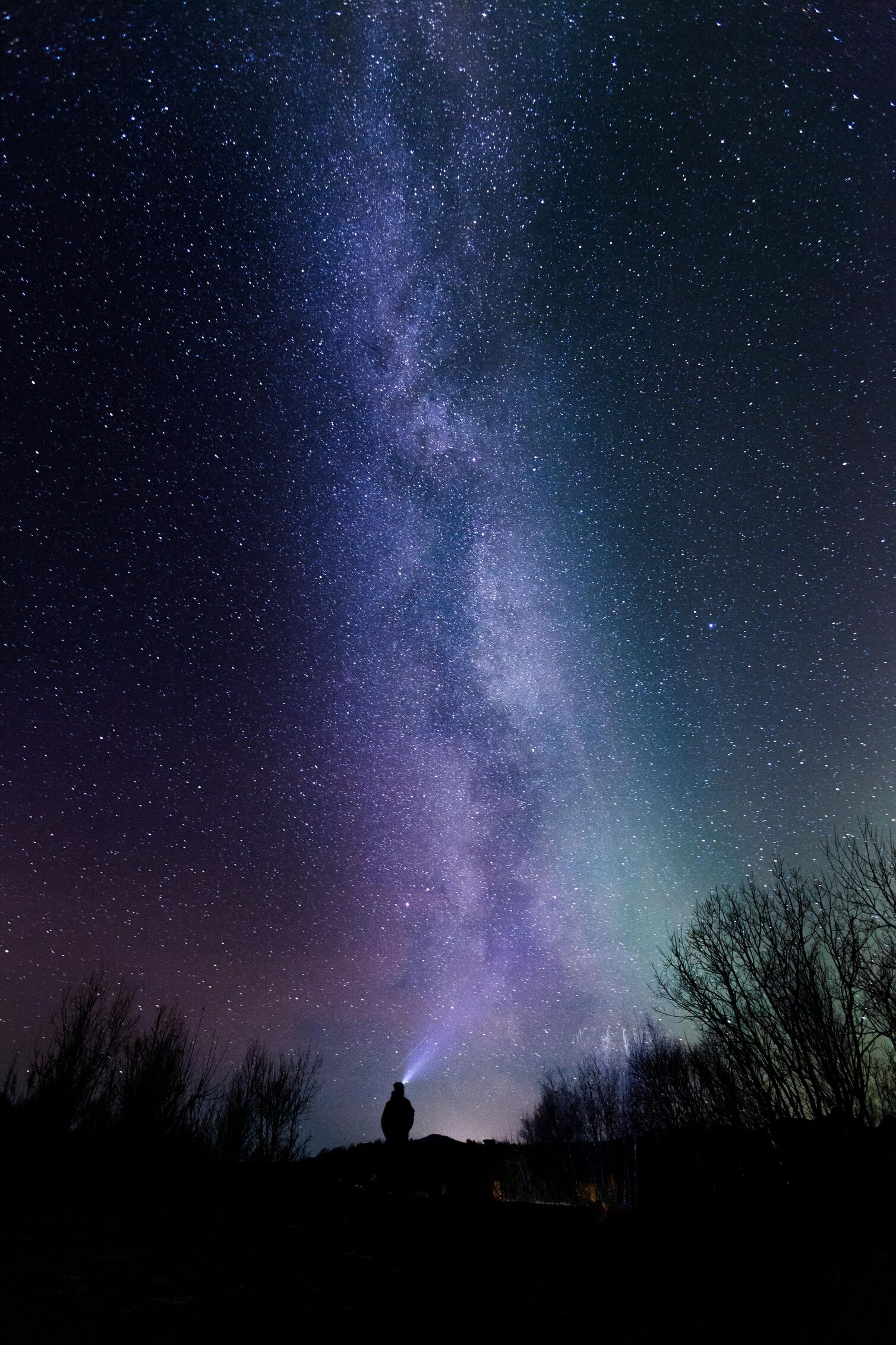 Image for Summer Stargazing and Night Hikes Around Fishkill