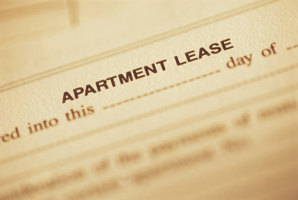Property Management and The Rule of Law