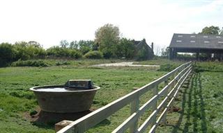Farm Land Has Big Increase In Value