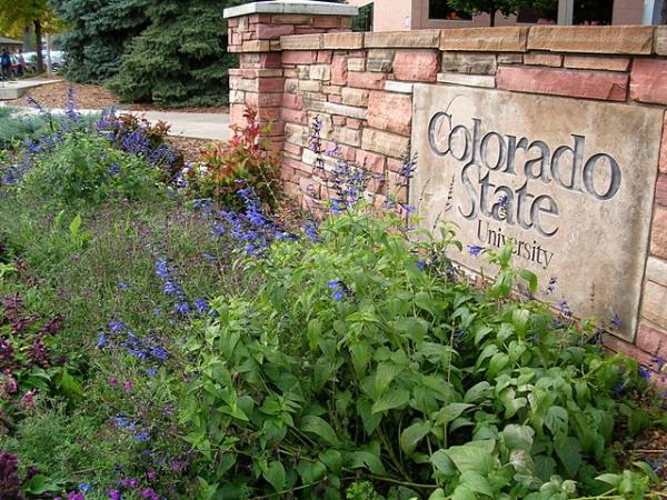 Core Spaces Acquires 665-Bed Student Housing Community Near Colorado State University