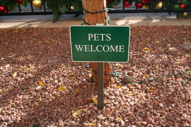 Renting With Pets is Becoming an Increasing Trend Among Apartment Dwellers Survey States