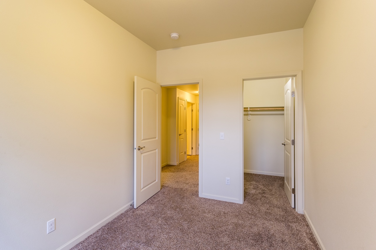1BR Layout with Attached Walk-in Closet