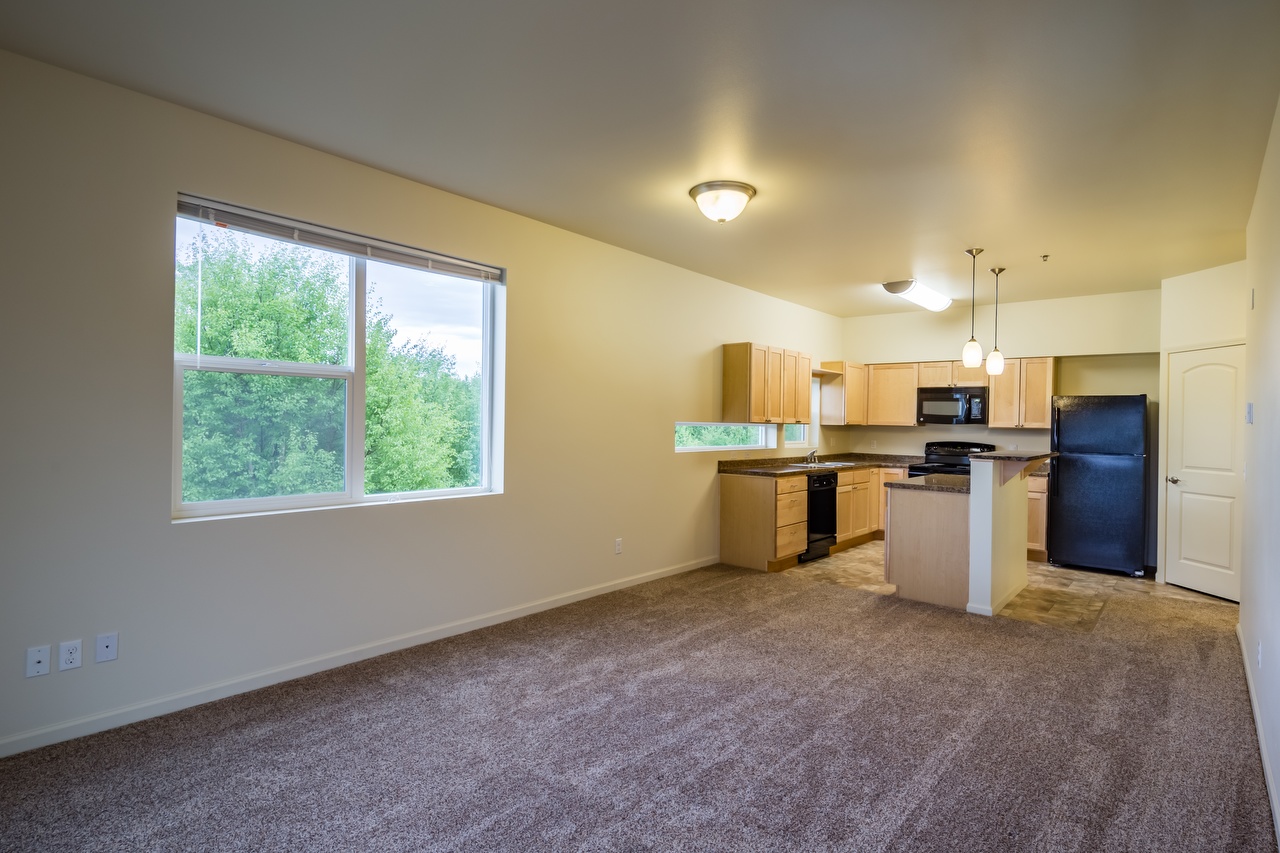 1BR Spacious Living Room and Kitchen Interior with Plush Carpeting