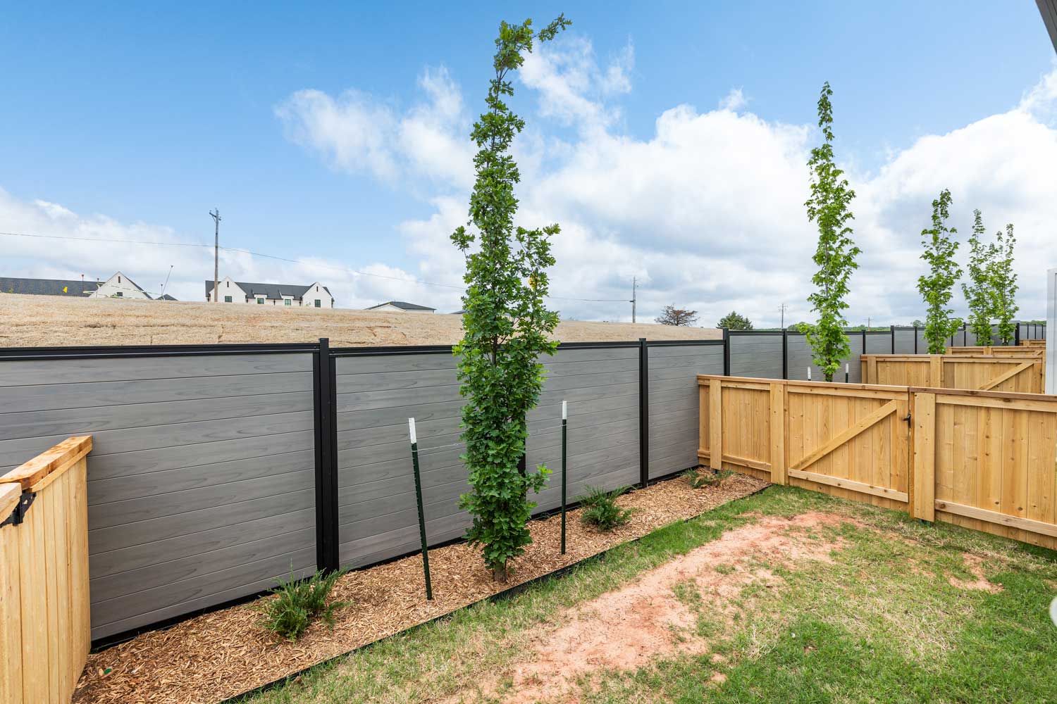 Private fenced backyard with grass lawn, modern privacy fencing, and newly planted trees beside apartment homes today and fencing
