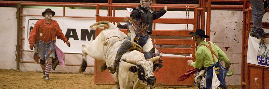 See the Bravest Riders Step into the Spotlight at the Tejas Rodeo Cover Photo