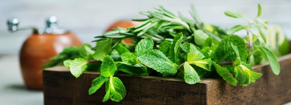 Save Money on Your Weekly Recipes with This Trick for Freezing Herbs Cover Photo