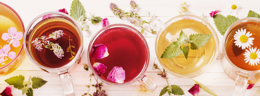 Learn the Art of Blending Medicinal Teas with this Fun Workshop Cover Photo