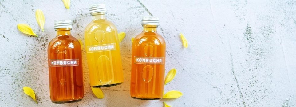 Not Sure Why Kombucha Is So Popular? Here Are Just 4 Reasons Cover Photo