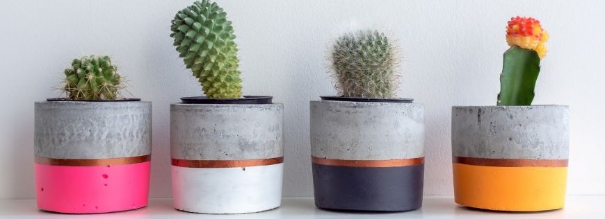 Image for You Will Never Buy Store-Bought Pots Again with This Project for Lightweight Concrete Planters 