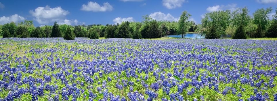Cancelling Vacation This Year? Check Out 3 Weekend Getaways That Are Close to Houston  Cover Photo