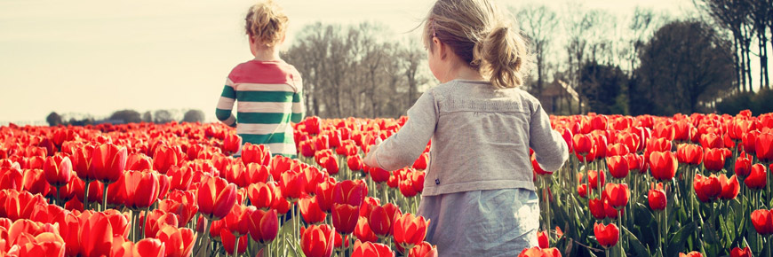 Brighten Up Your Sunday Morning with a Trip to the Dallas Blooms Festival  Cover Photo