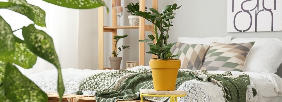 Step Up Your Decorating Game with These Tips That Will Add Color to Your Apartment Home  Cover Photo