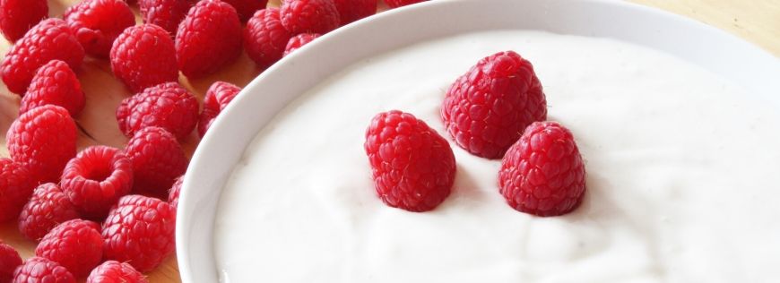 This Two-Ingredient Yogurt Is So Easy That You Will Make It Time and Again  Cover Photo