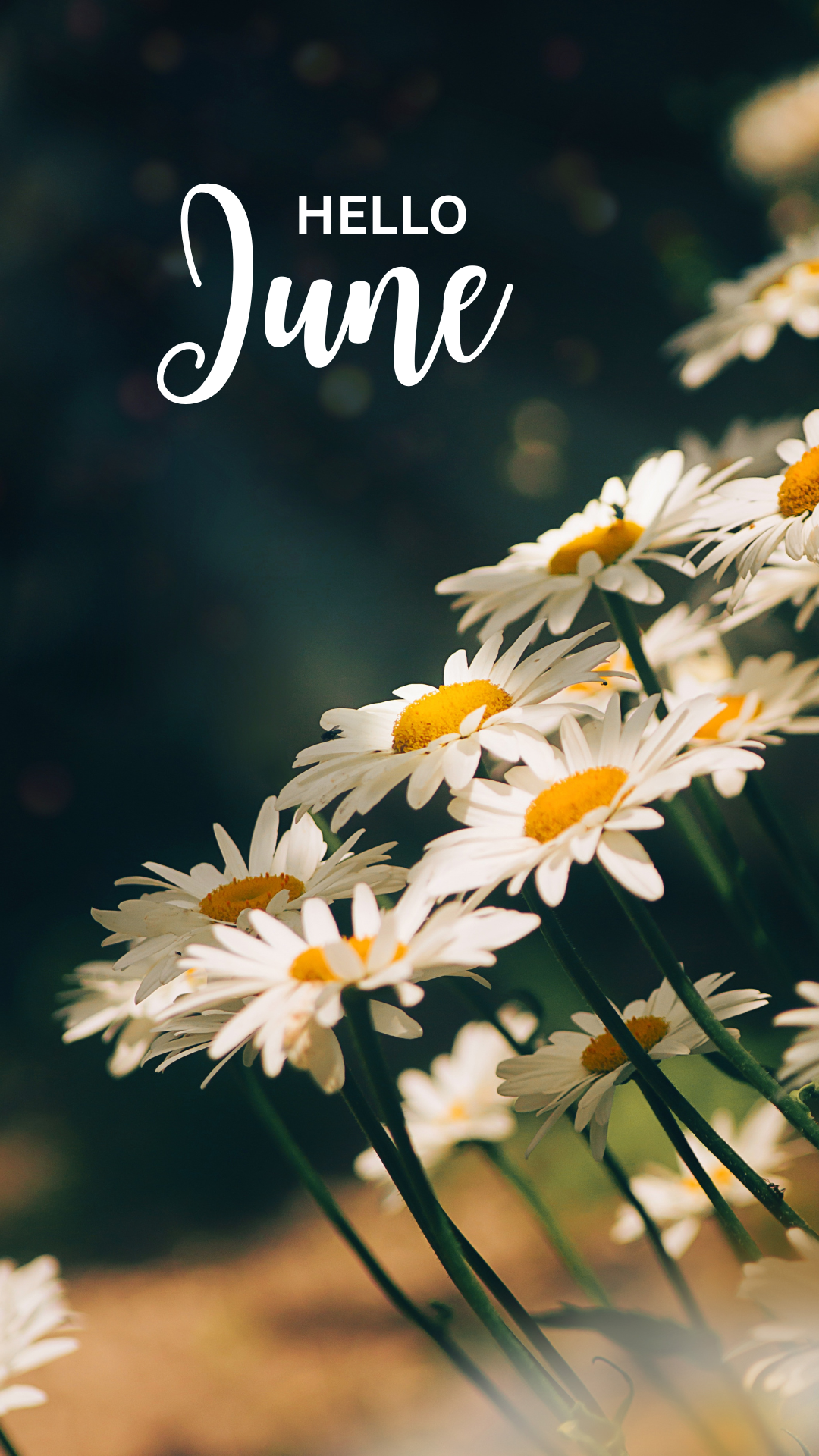 Hello June 
