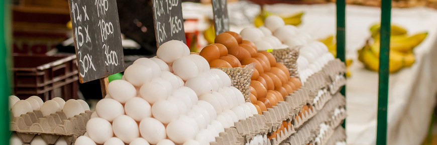 Keep Perishable Food Fresh with These Three Simple Suggestions Cover Photo