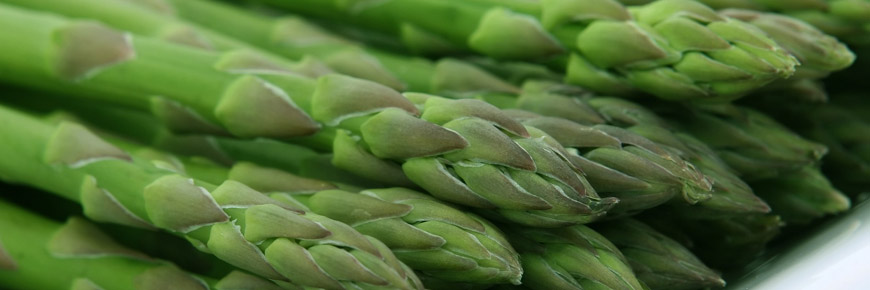 These Are the Healthiest Vegetables You Should Be Eating Cover Photo