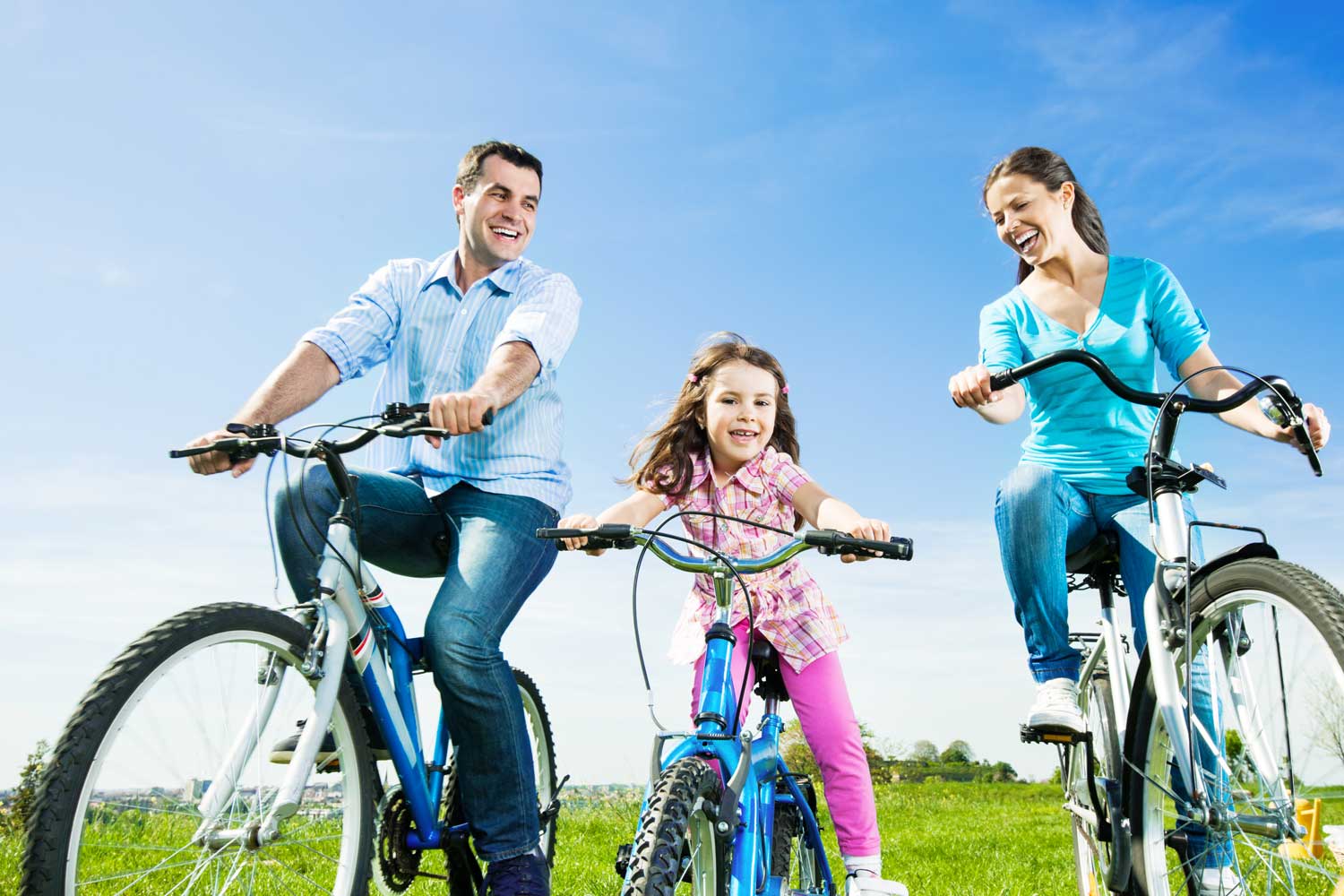 The Paddock on Park Row