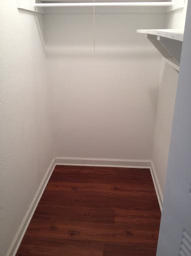 Walk-in Closet at the Park Pointe Apartments in Tampa Bay, FL