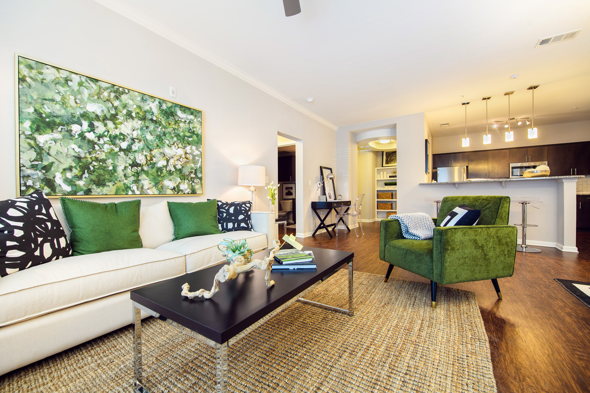 Green and Black accent decor in apartment living space