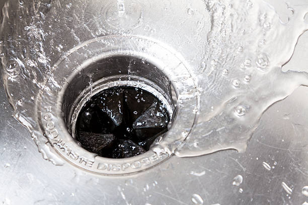 Image for What Not To Put Down A Garbage Disposal