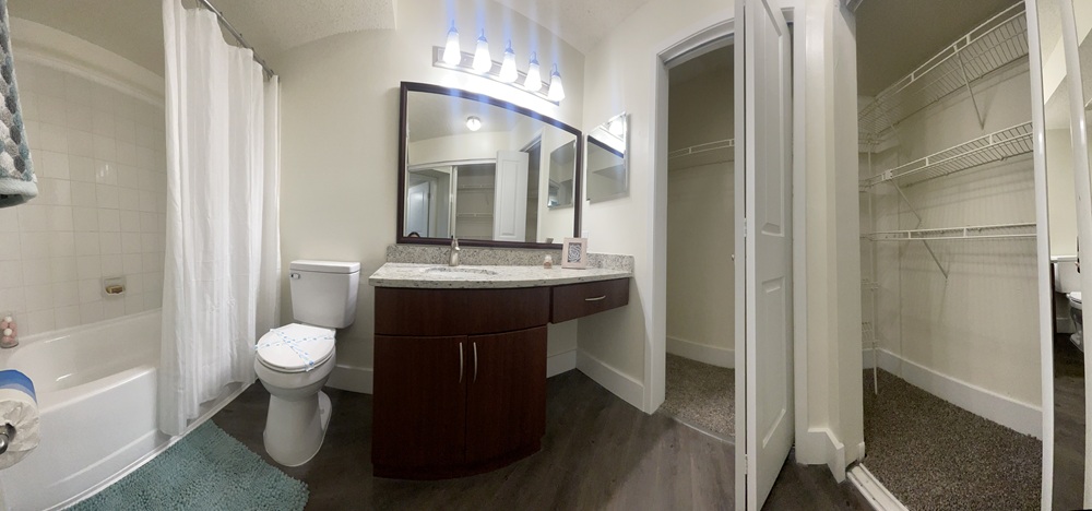 Modern bathroom with granite vanity and walk-in closet.