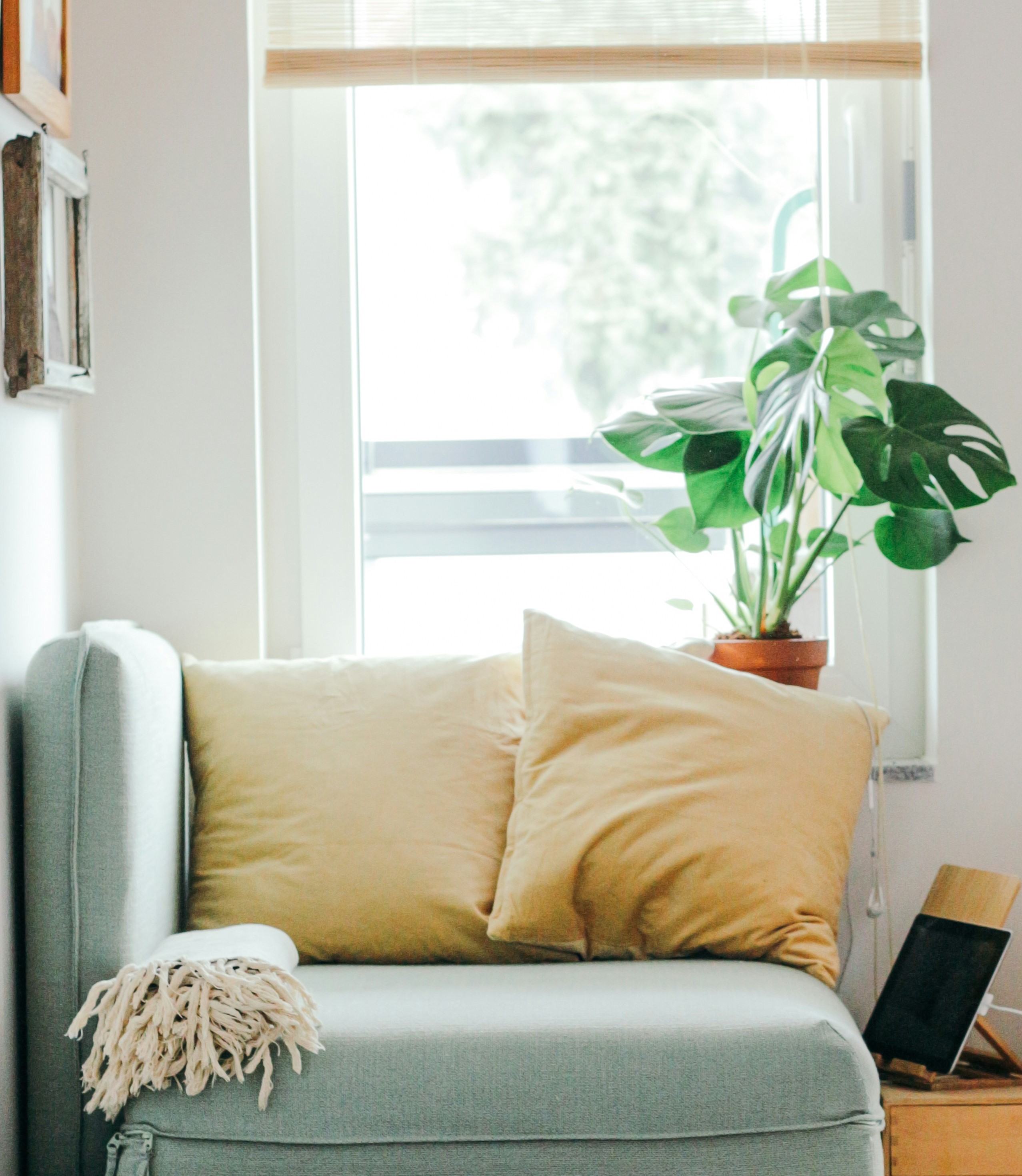 Spacious Living Room and Dining Nook