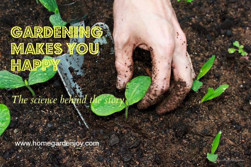 Gardening boosts your mood! Cover Photo