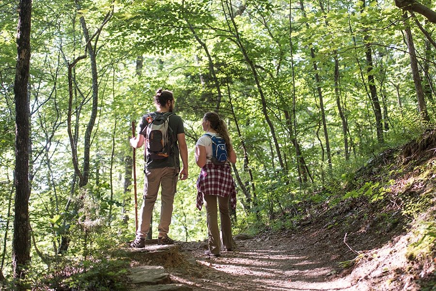 11 Northeast Ohio hiking trails we love Cover Photo