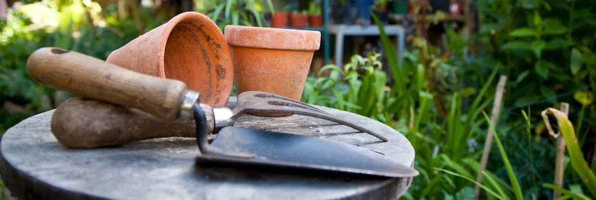 Begin to Nurture Your Green Thumb with These Six Gardening Tips for Beginners Cover Photo