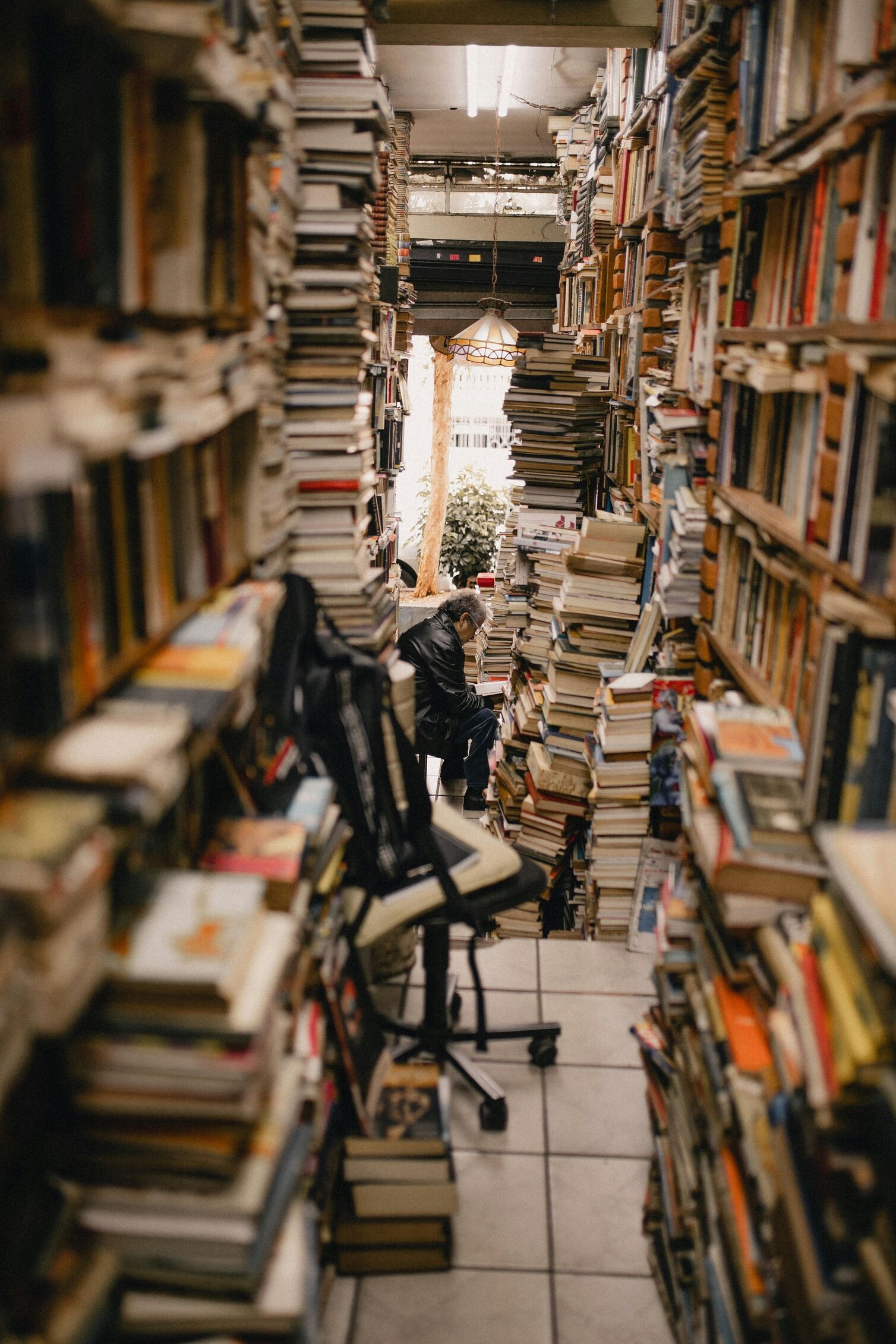 Image for Top Bookstores & Quiet Spots to Read in Princeton