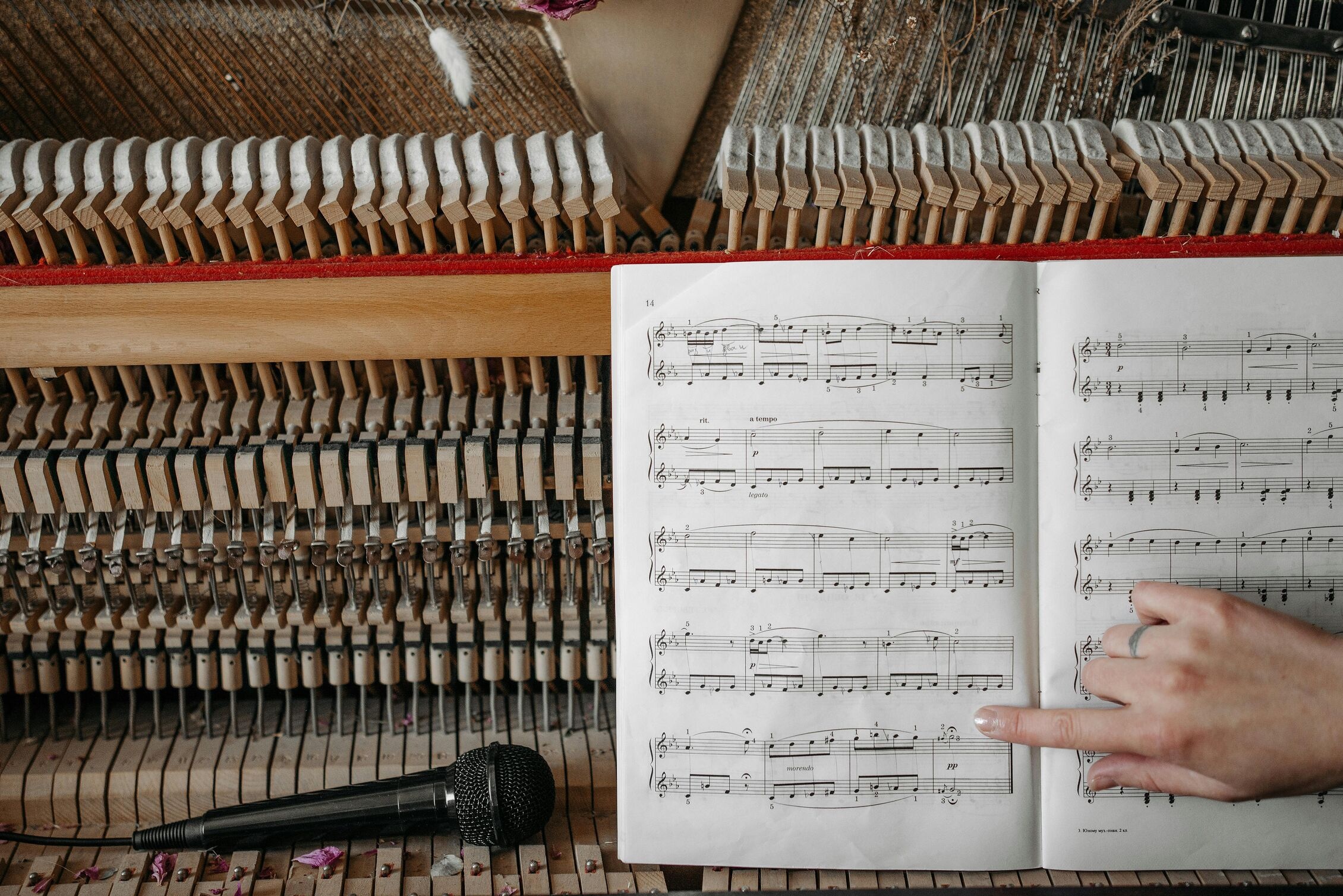 Image for Where to Learn Something New in Princeton This Summer (Art, Music, Tech)