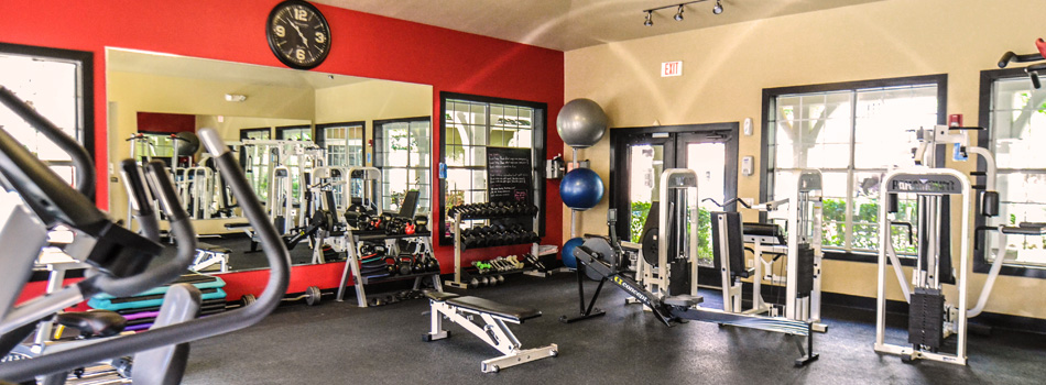 Fitness Center in the Reserve at Steele Crossing