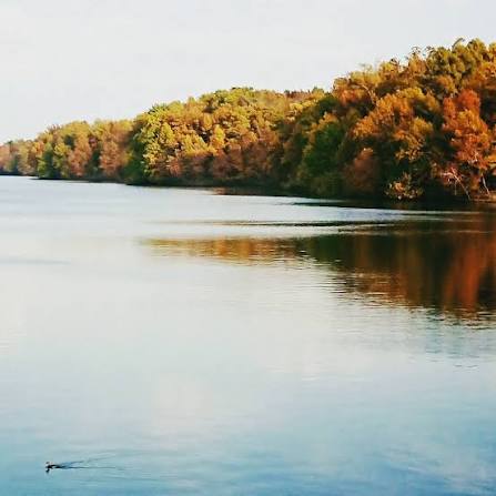 Fayetteville Town Lake