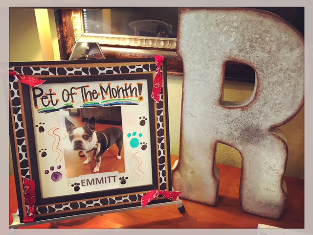 March Pet of the Month! Cover Photo