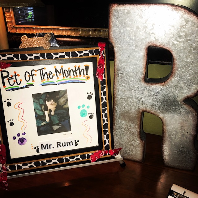 Meet Mr. Rum our June Pet of the Month!!! Cover Photo