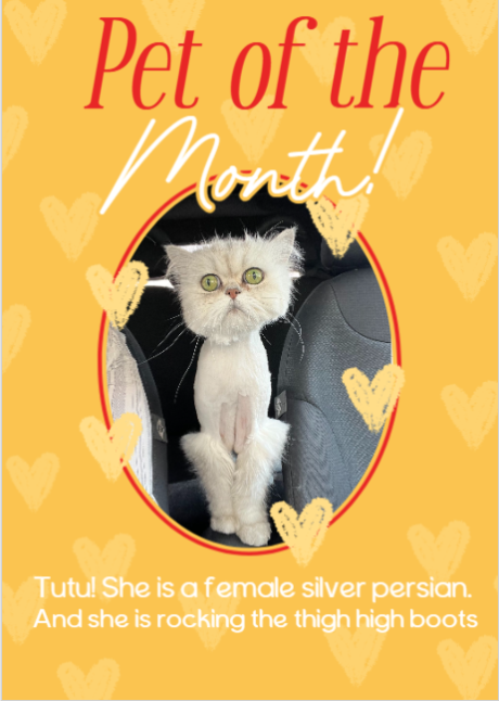 Image for October Pet of the Month