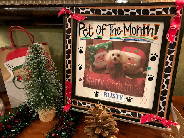 December Pet of the Month Cover Photo