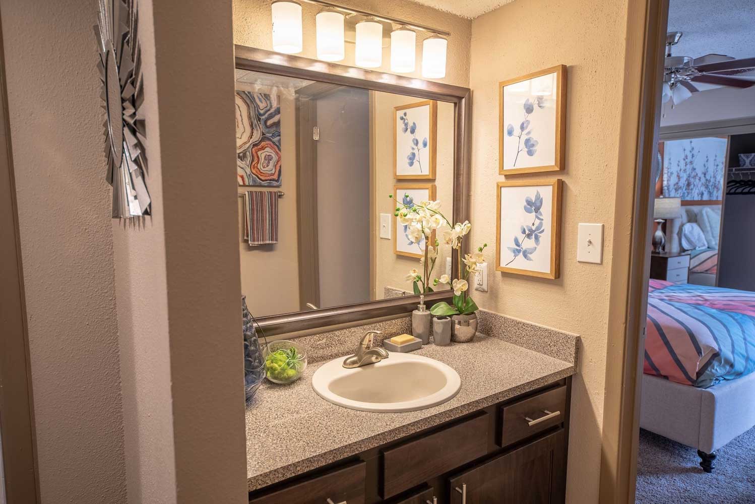 Vanity Mirror at Ridgeview Place Apartments in Irving, TX