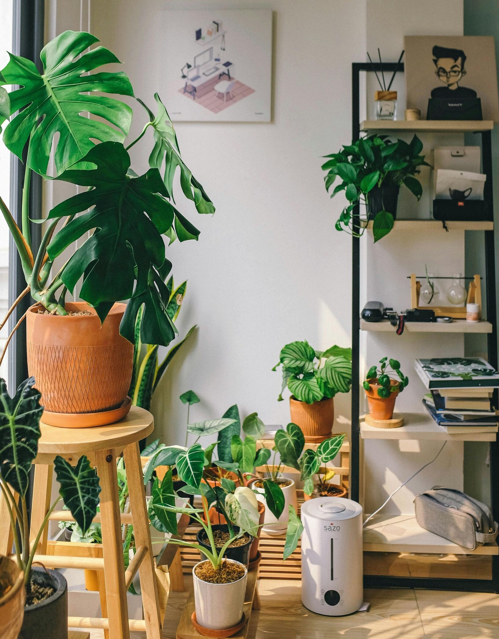 Image for How to Design a Relaxing Indoor Garden with Low-Maintenance Plants