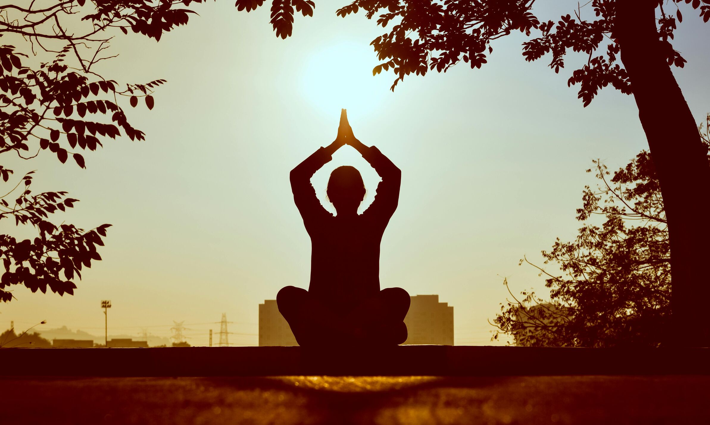 Image for The Quiet Side of Nyack: Zen Spots to Relax and Unwind