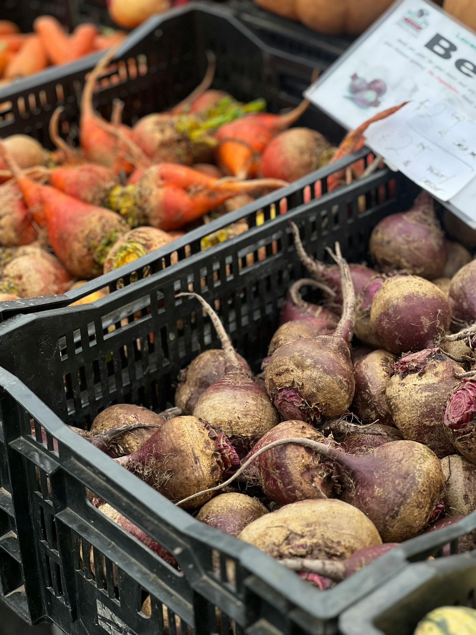 Image for Nyack Farmers Markets: Fresh Finds and Local Produce