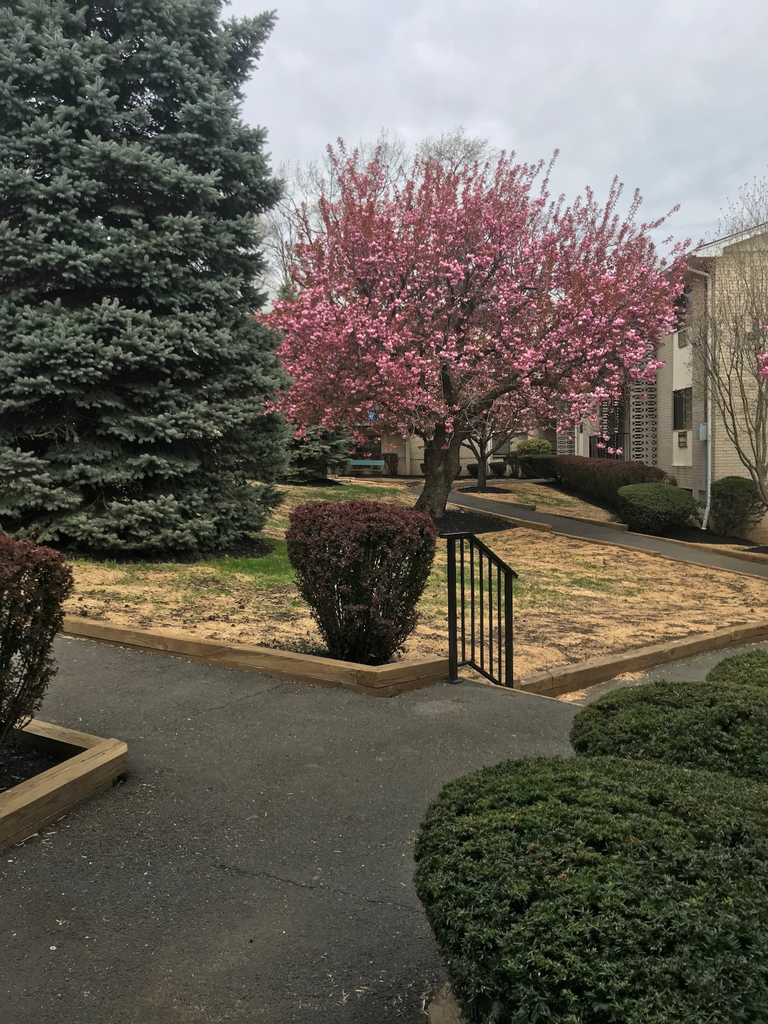 Scenic Apartment Community at Riverview at Nyack