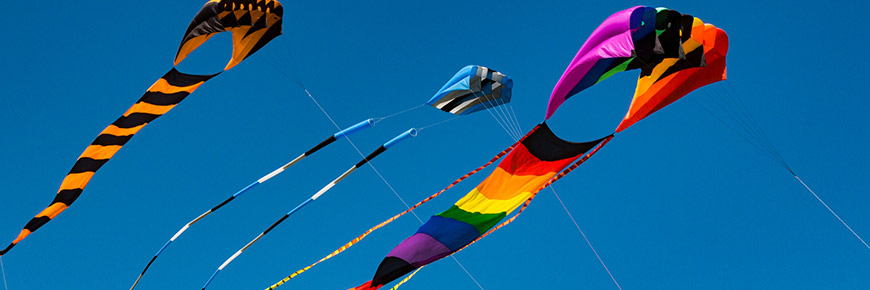 Make Your Weekend Excitement Soar with the Annual Kite Festival Cover Photo
