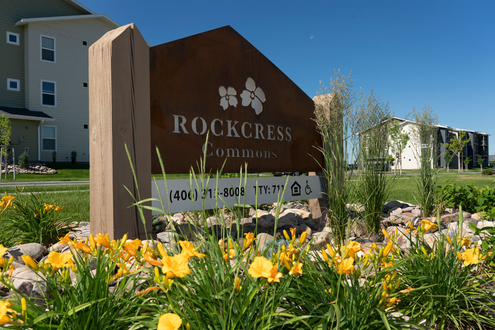 Rockcress Commons