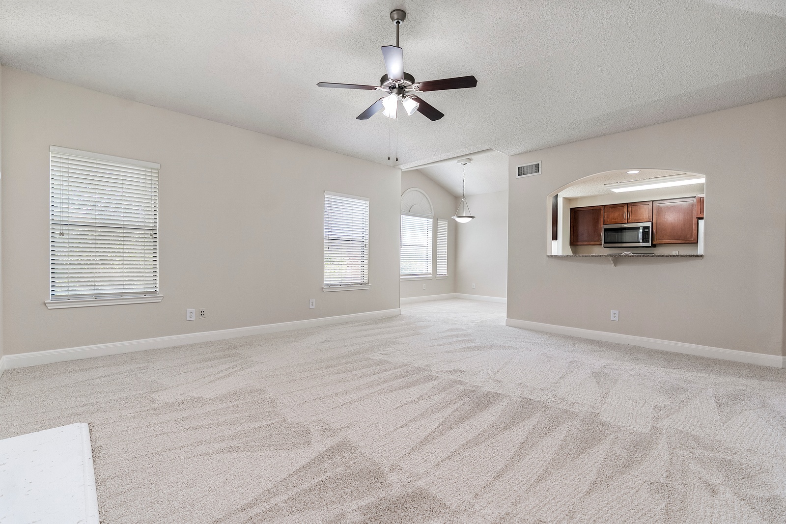 Open Concept Living Room with Vaulted Ceiling