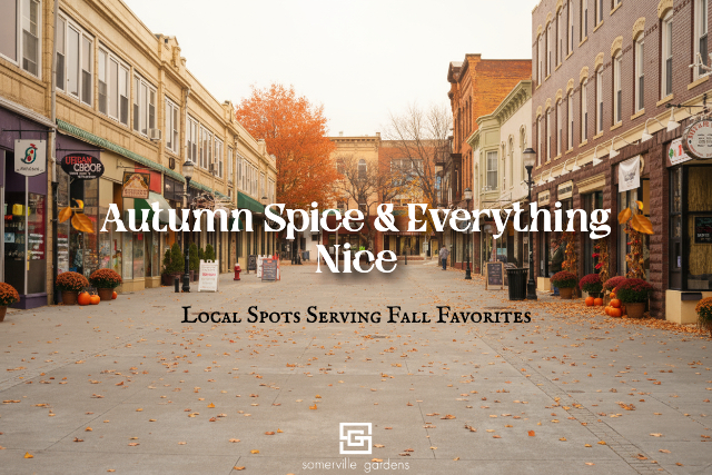 Image for 🍂 Autumn Spice & Everything Nice: Local Spots Serving Fall Favorites 🍂