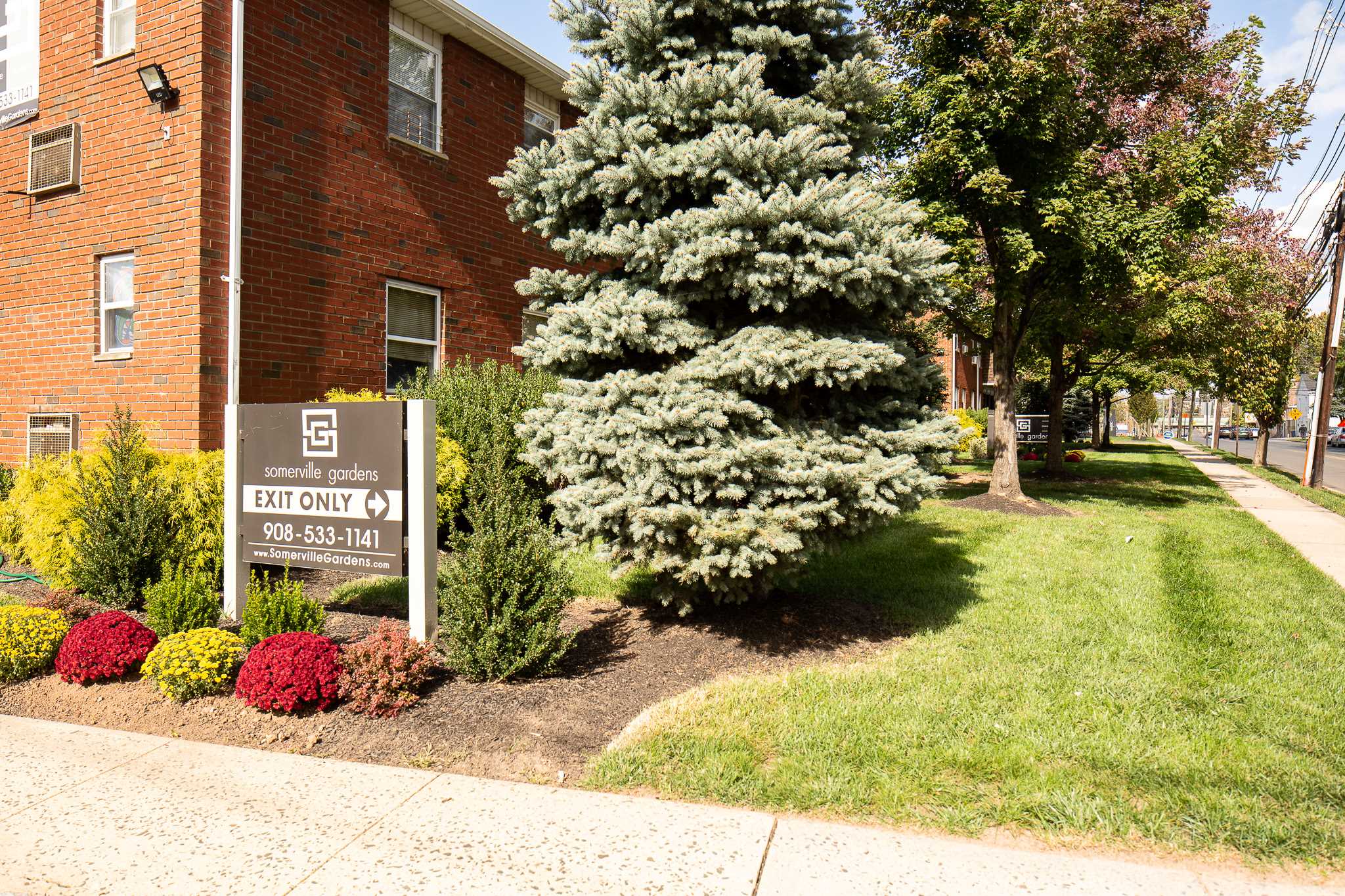 Lush landscaping at Somerville Gardens Apartments in Somerville, New Jersey